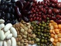  DRY PULSES