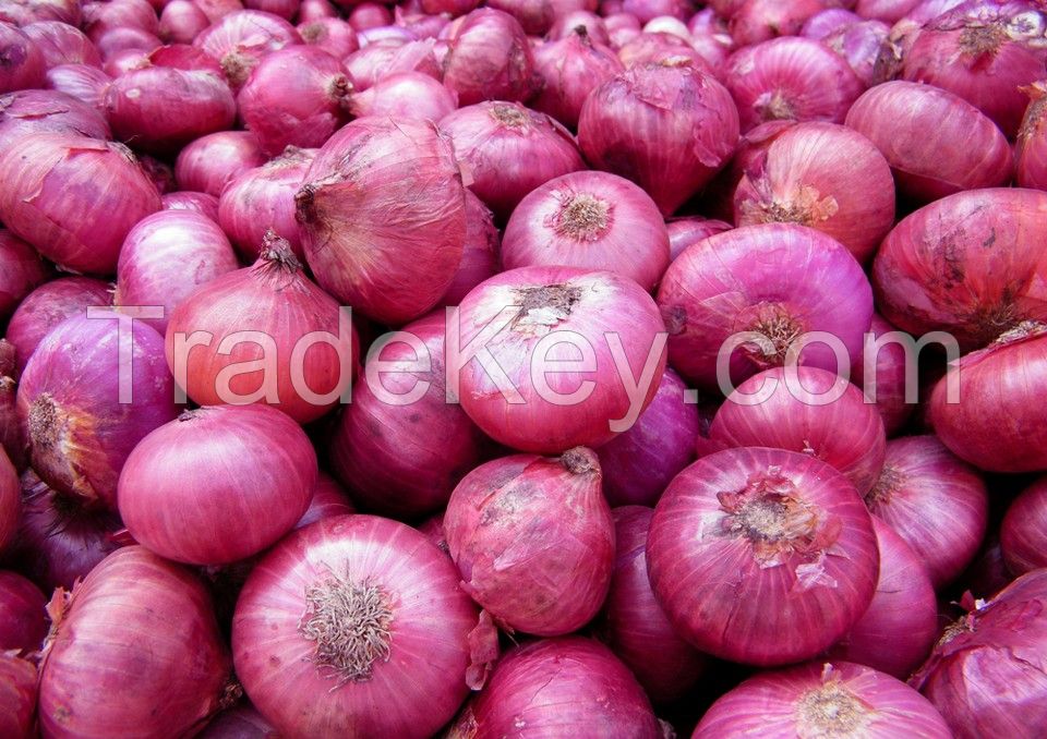 Onions