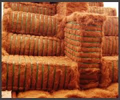 Coir Fiber