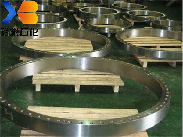 Stainless Steel Forging Flange