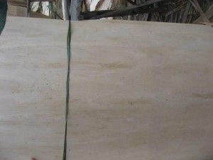 Vietnamese core veneer