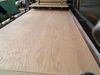 best price Plywood  for sale