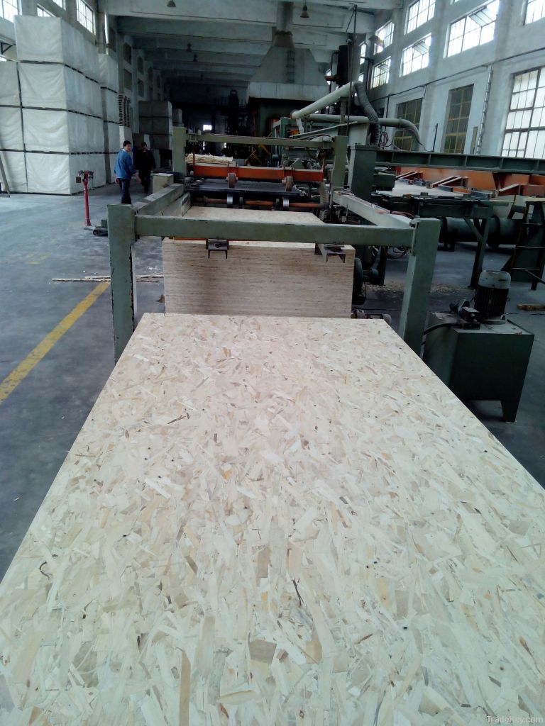 osb board price