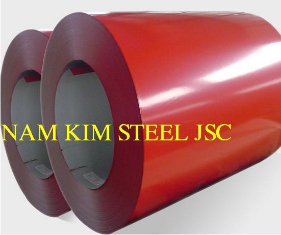 PPGI Steel in coils