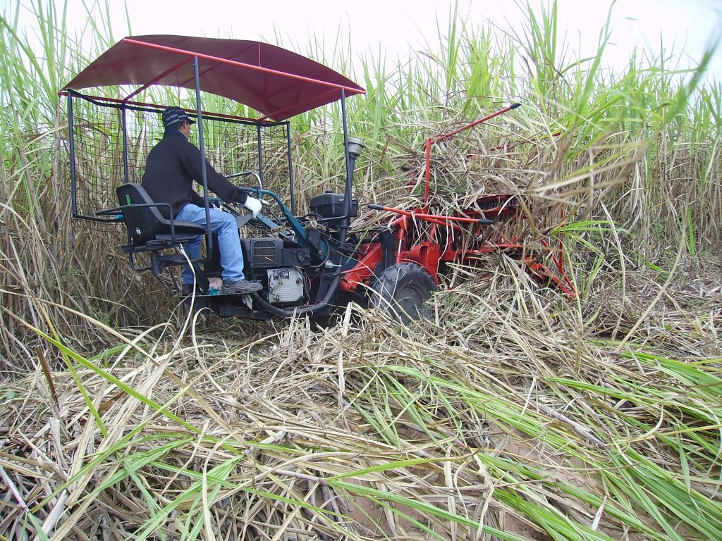 TAGRM SH5II sugarcane harvesting machine/combine harvester