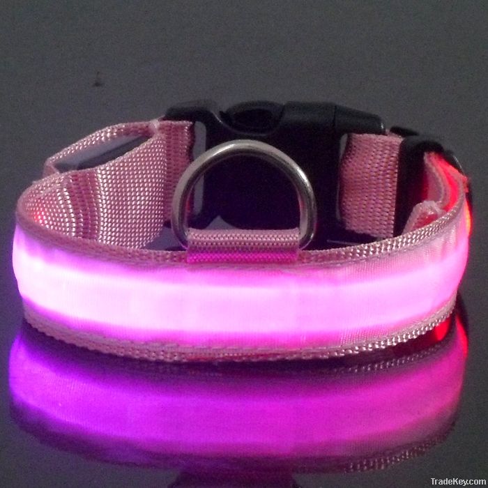 led dog collar