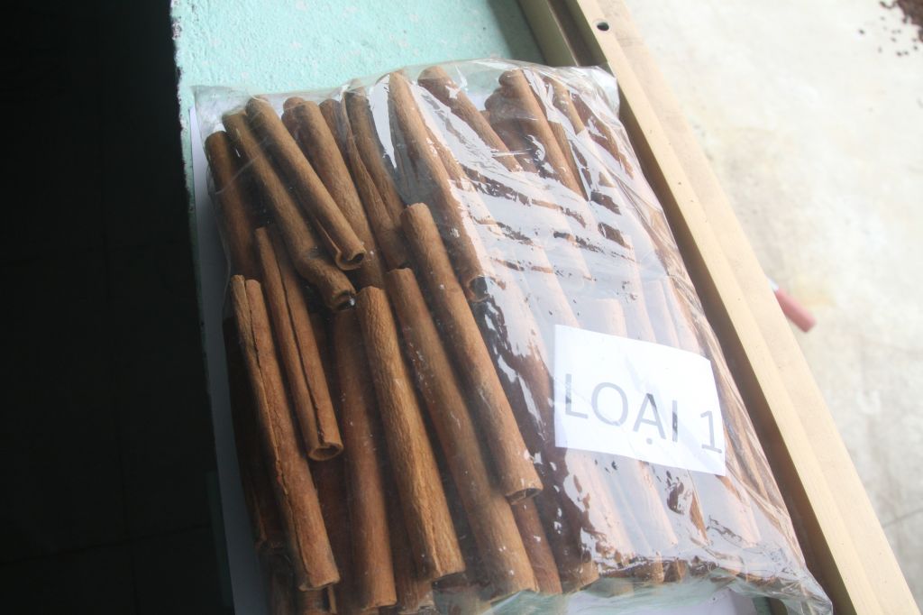 Cigarette cassia Viet Nam