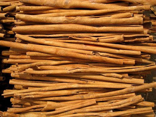 Stick cassia Viet Nam