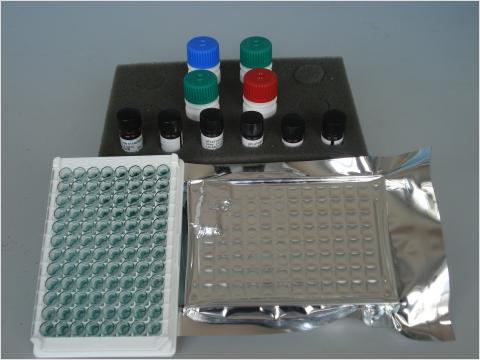 Human Vasoactive Intestinal Peptide,VIP ELISA Kit