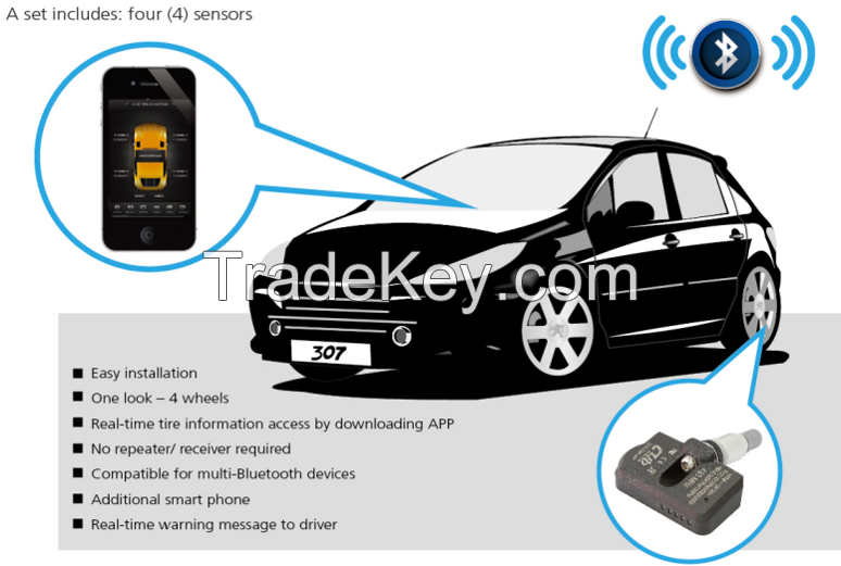 TPMS internal style dry battery