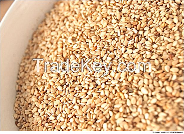 High Quality Grade A Sesame Seeds