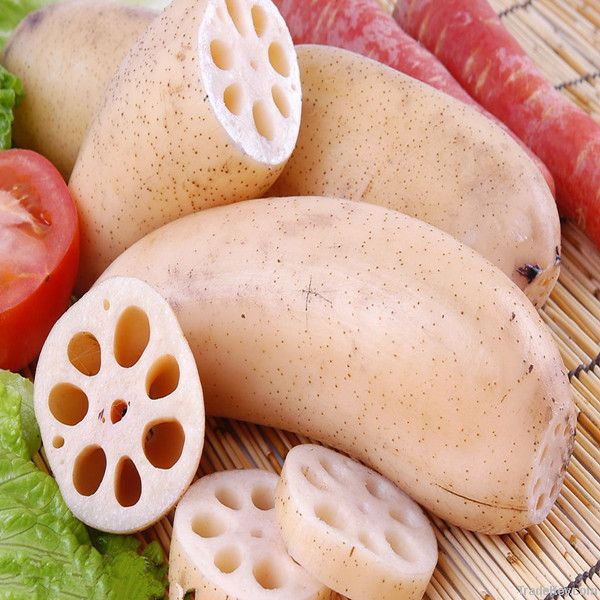 100% Natural Lotus Root Extract 20:1