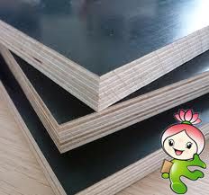 18mm Black Film Faced Plywood