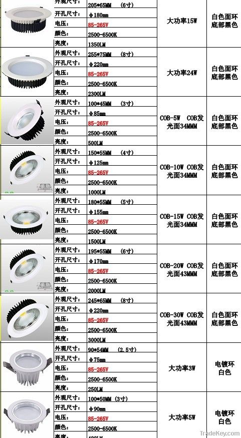 LED Downlight