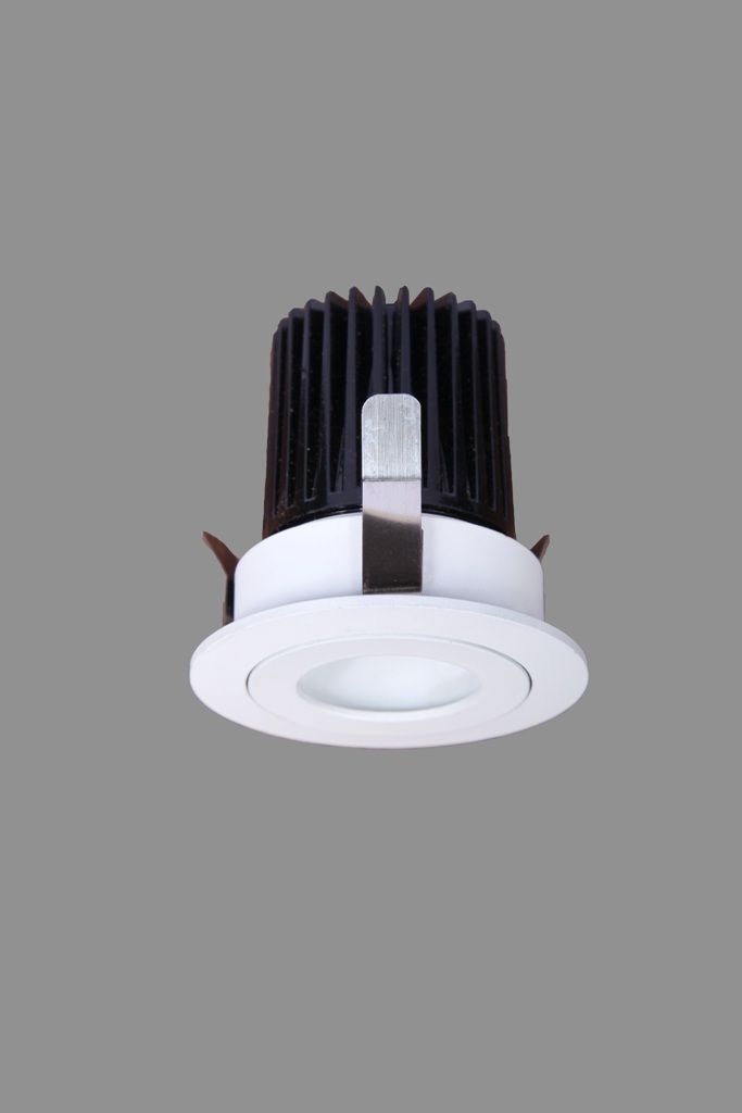 LED Down Light