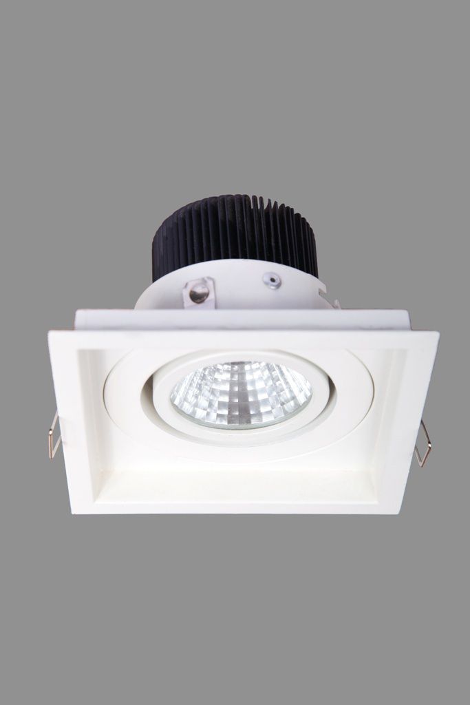 LED Down Light