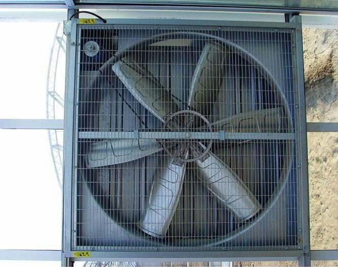 Exhaust fan for poultry