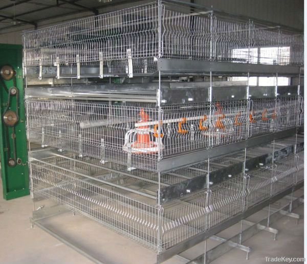 poultry cage for broiler