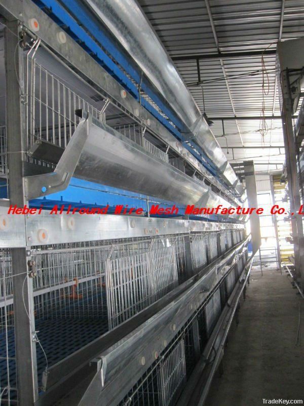 Chicken Cage For Pullets (H type) Hot sale!!!!