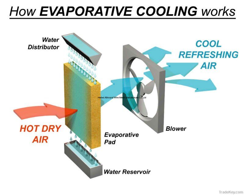 Exhaust fan for poultry