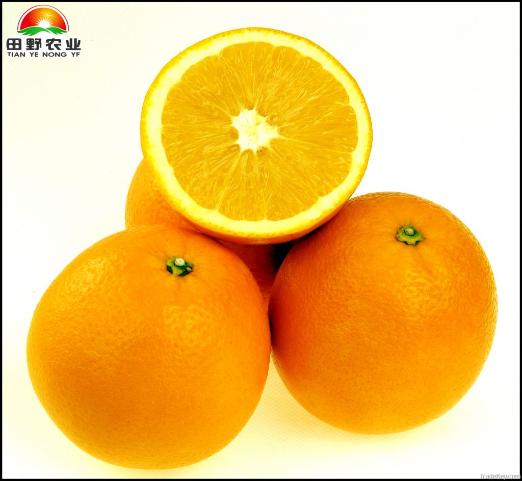 Navel orange