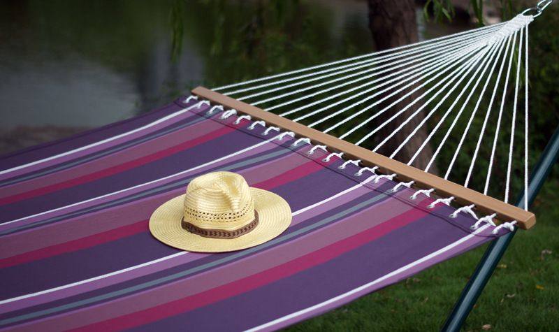 hammock 