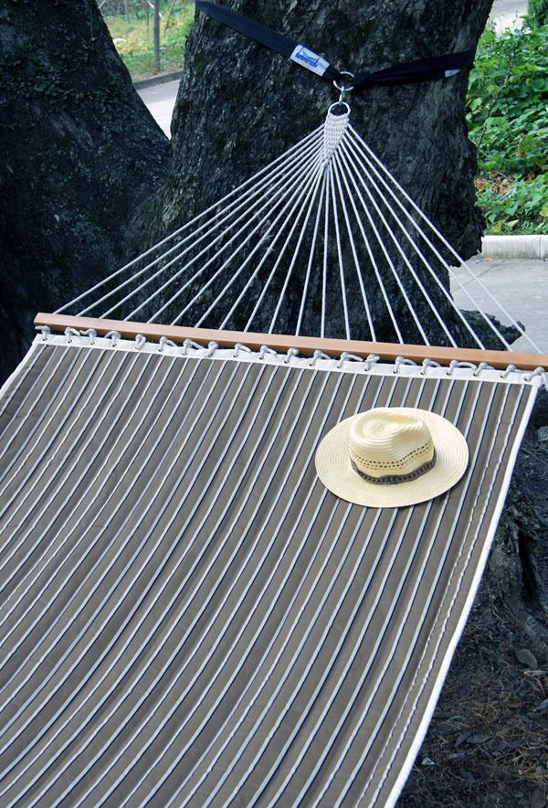 hammock 