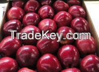 Fresh Royal Gala Apples