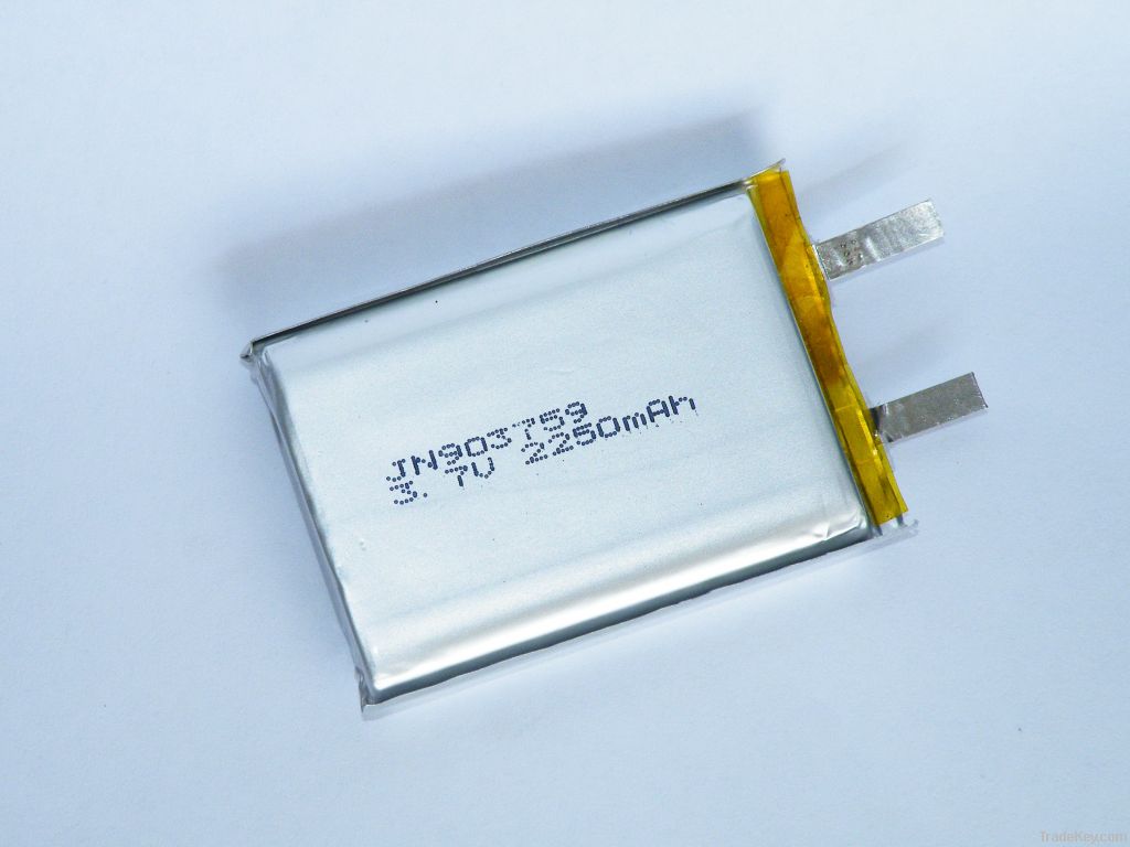 Li-polymer battery