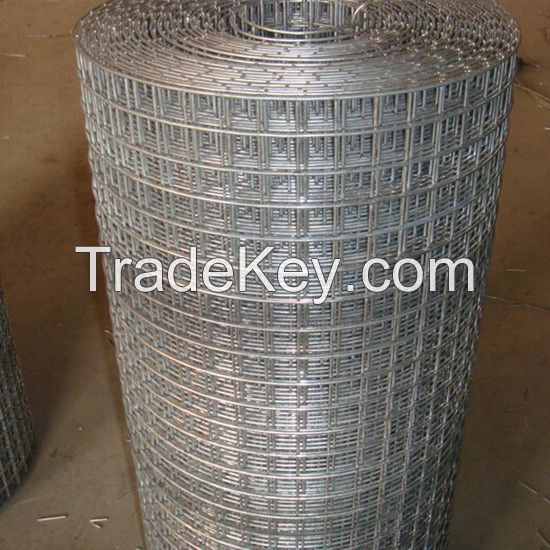 Welded Wire Mesh