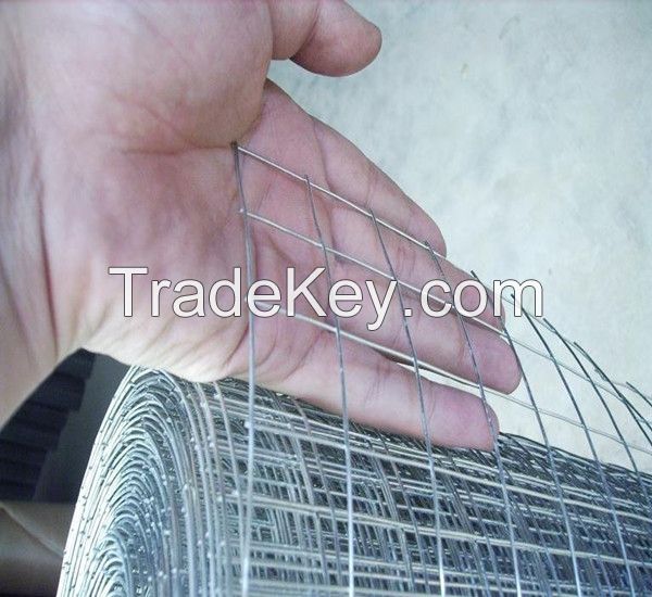 Welded Wire Mesh