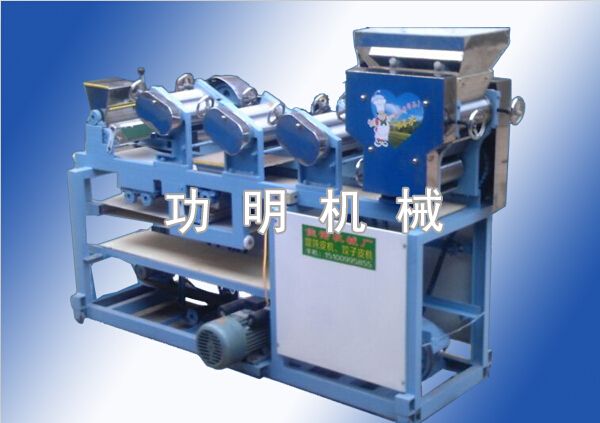 Group 6 -250 180 type machine wonton skin