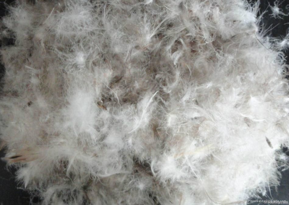 Wholesale washed grey duck down and feather