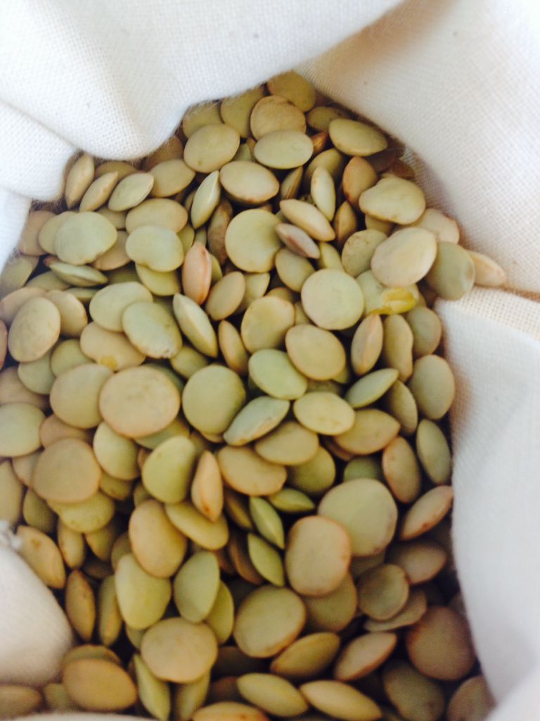 Canadian Excellent Quality Lentils