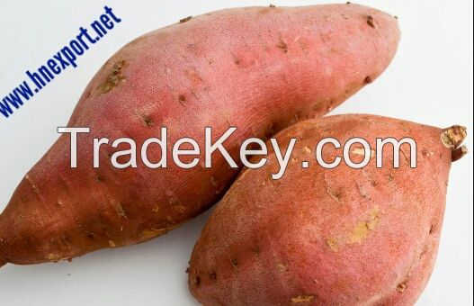 Sweet Potatoes