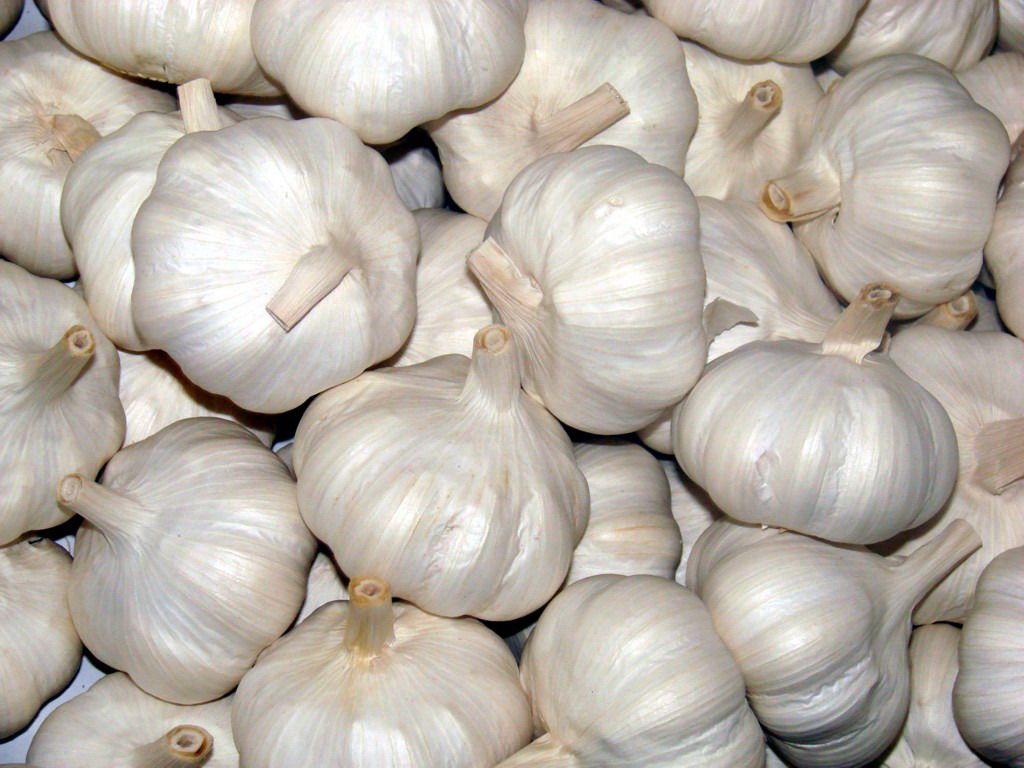 White Garlic