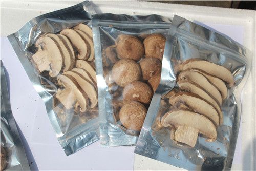 DRIED MUSHROOM