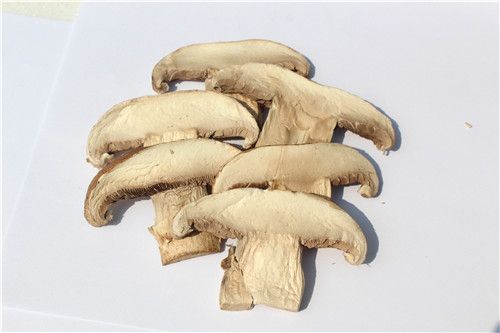 DRIED MUSHROOM