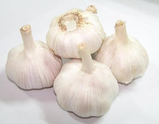 Fresh Garlic