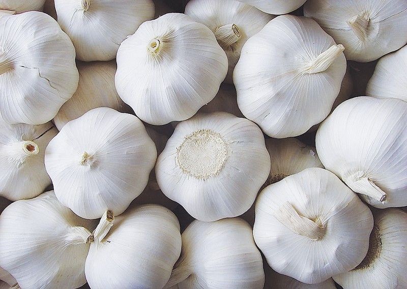 Fresh Garlic