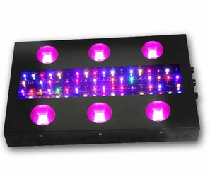 PLANET 6 LED Grow Light