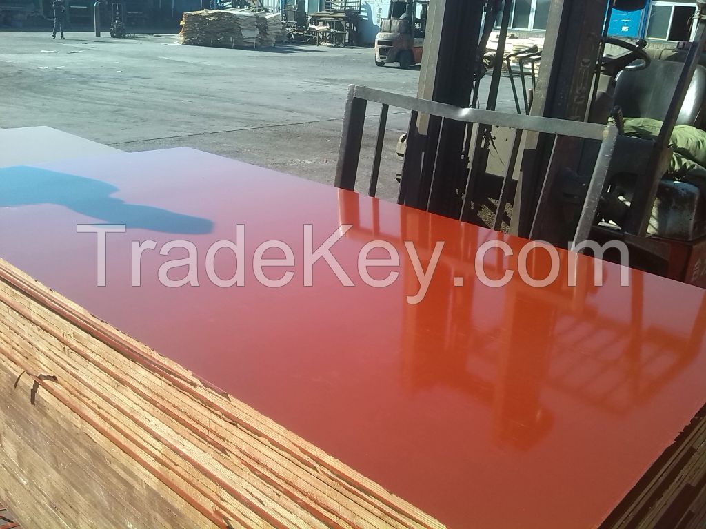 Film Faced Plywoodmanufacturer /Marine Plywood/Waterproof Plywood/18mm construction Plywood