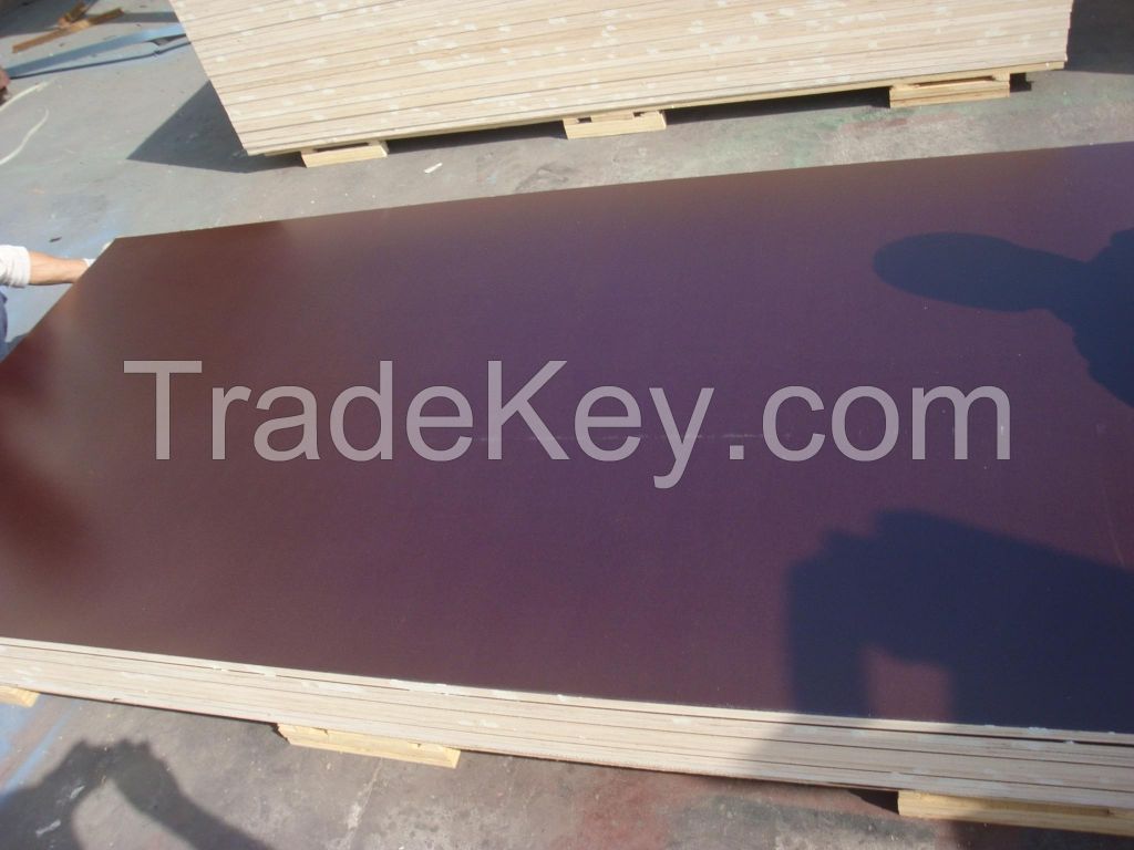 Melamine Coated Plywood / Film Faced Plywood