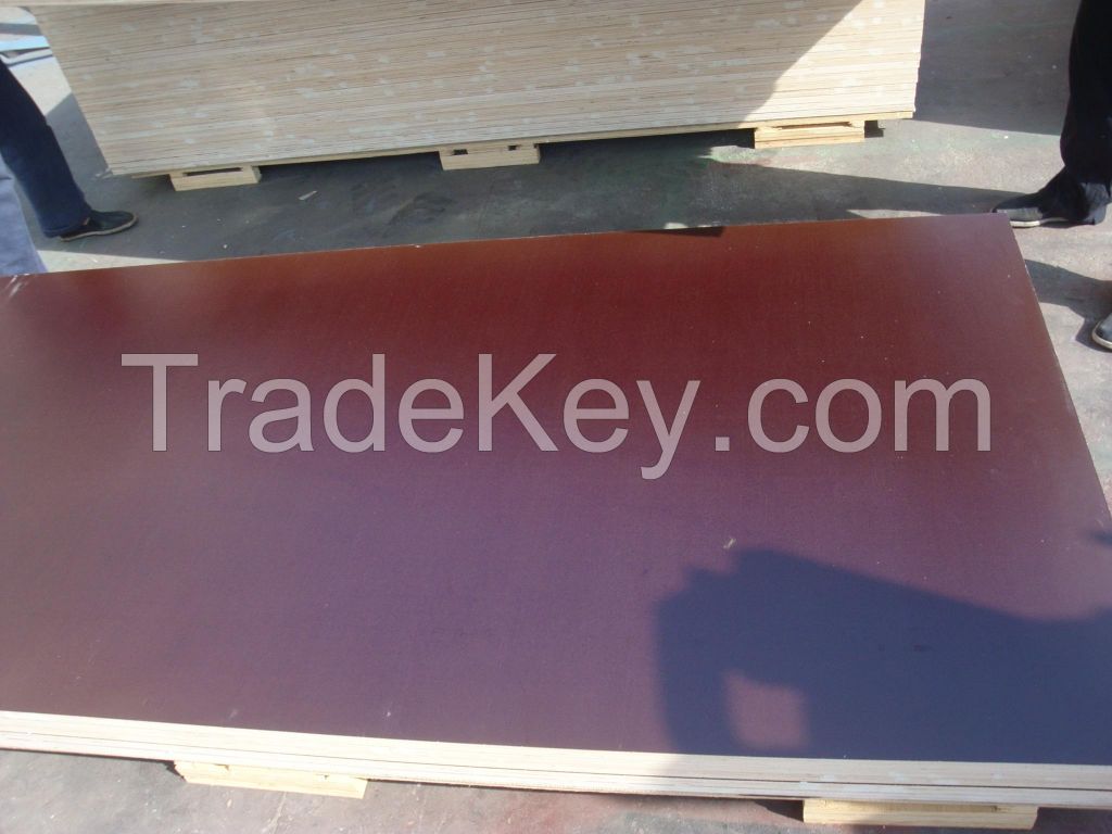 Melamine Coated Plywood / Film Faced Plywood