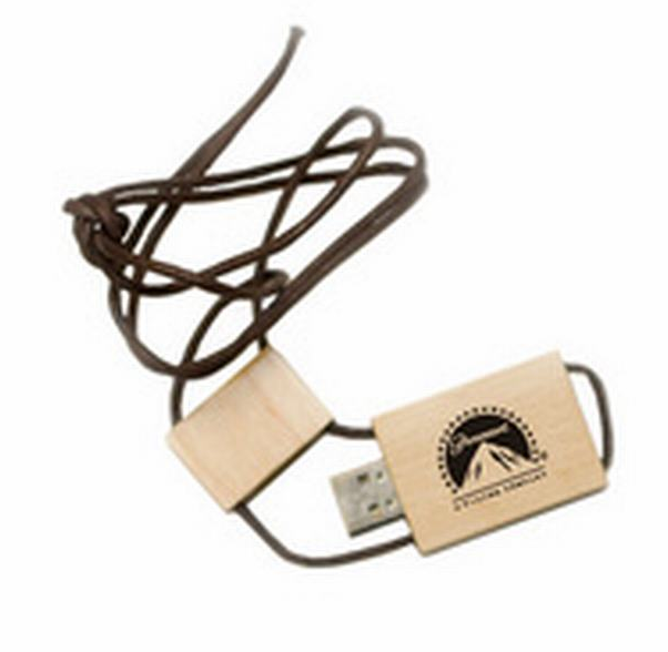 USB LOGO PRITED,lanyard usb flash driver,4gb usb driver