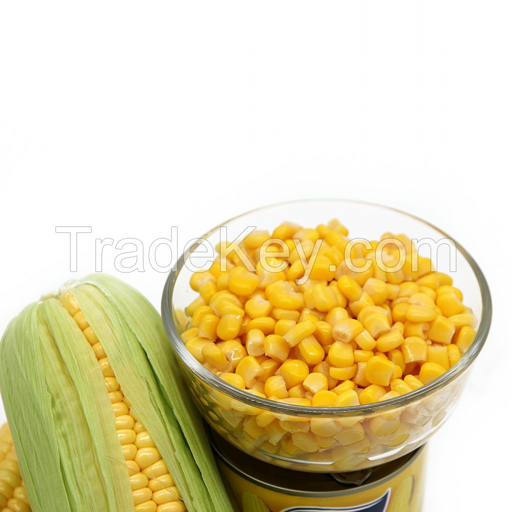 Canned Fresh Sweet Corn 425g In Easy Open Lid Hot Selling Canned Food From China