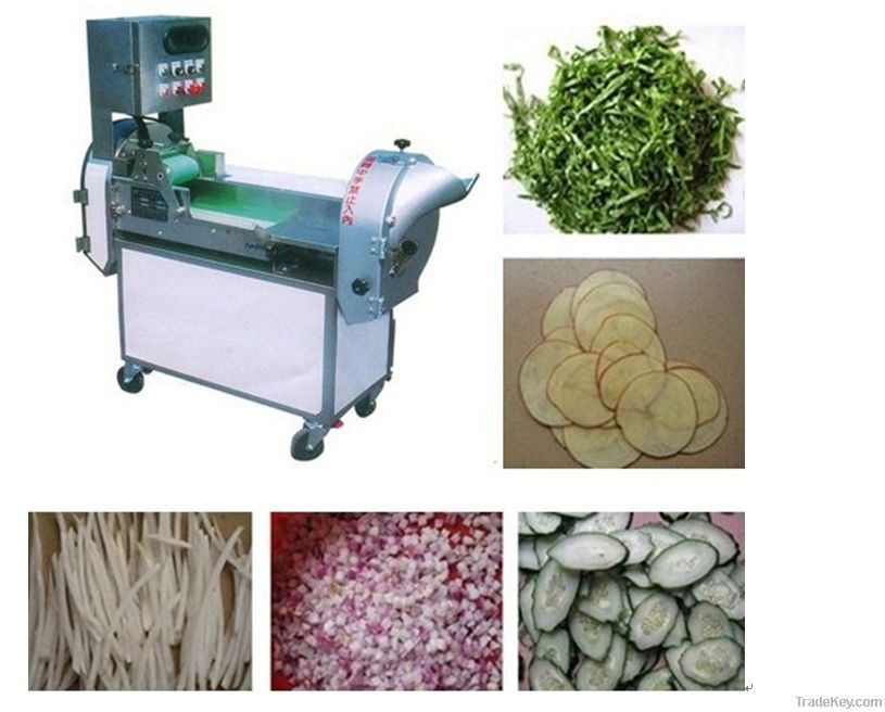 Multifunction Inverter Controlled Vegetable Cutter