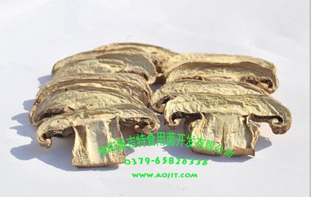 Dried Mushrooms