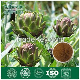 Artichoke Extract