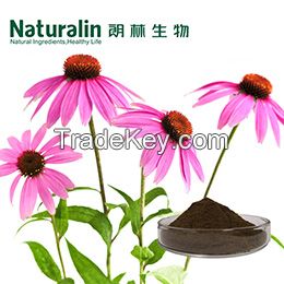 Echinacea Extract